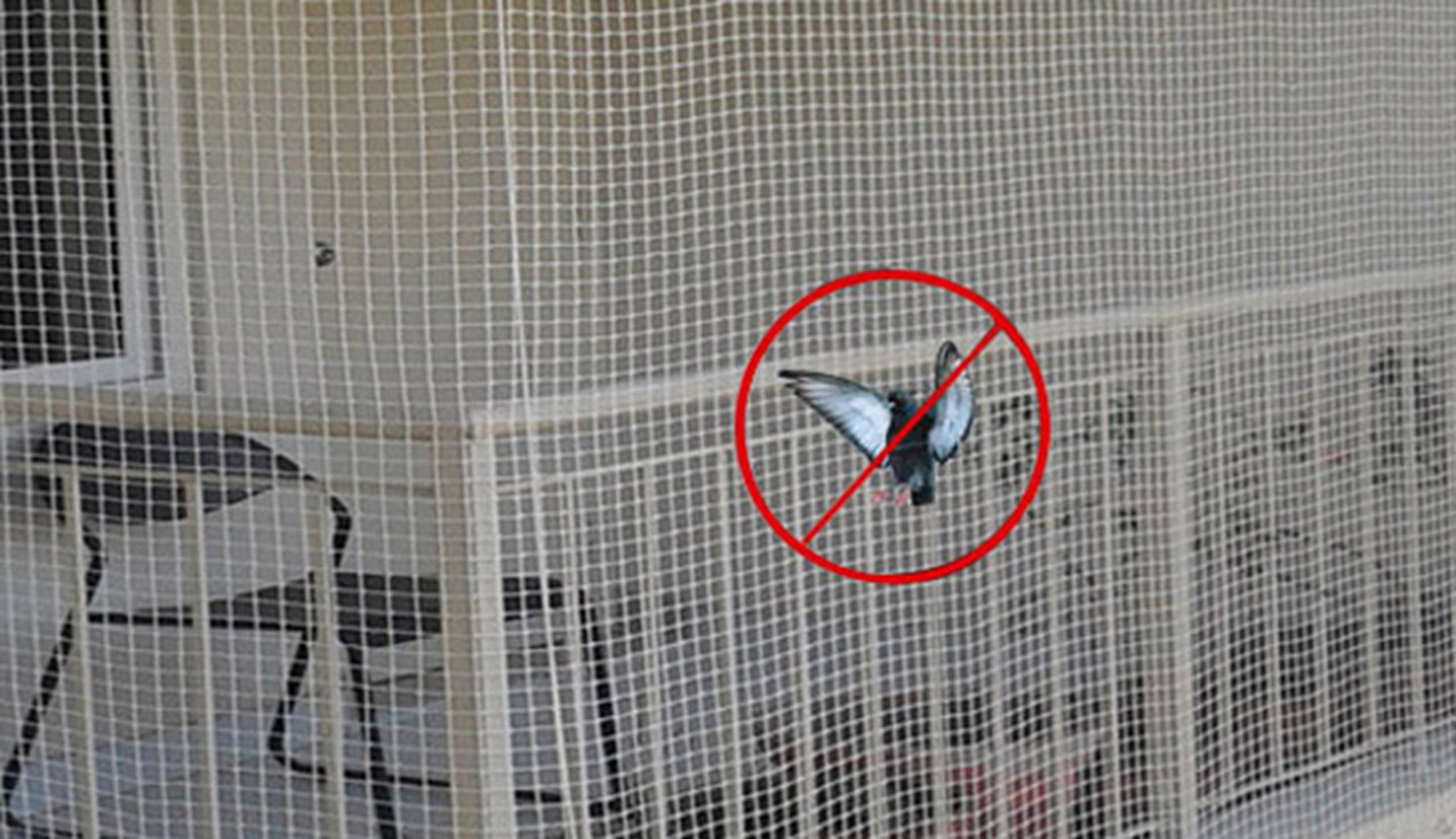 Bird Netting