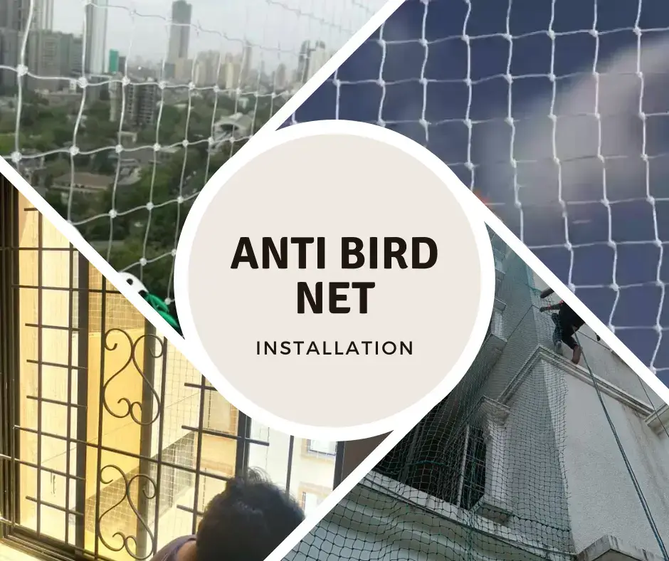 Anti Bird Nets in chennai