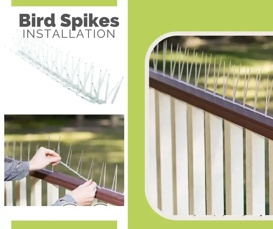 Bird-spikes Nets in Chennai