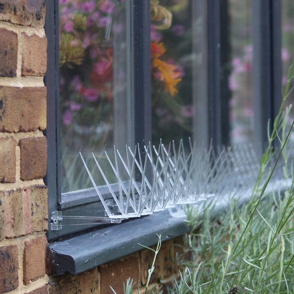 Bird Spike Installation Ledges