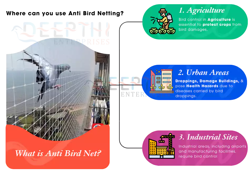 Anti Bird Nets in chennai