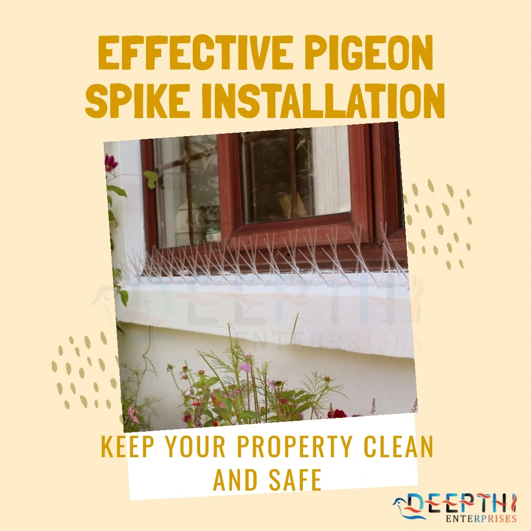 Effective Pigeon Spikes in Chennai