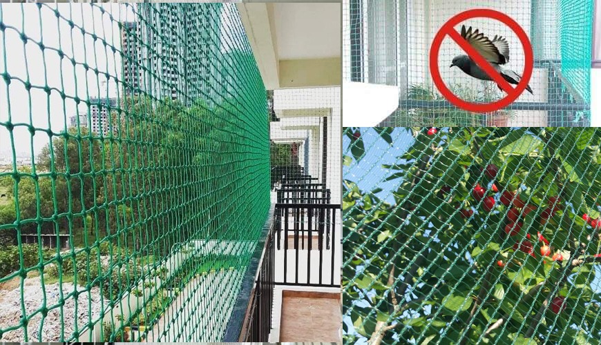 Mosquito Nets 