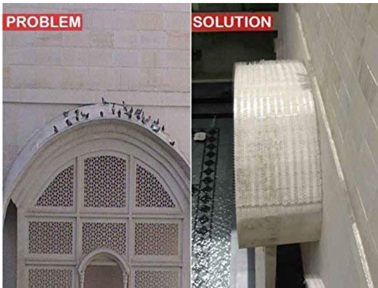 Pigeon Control Spikes