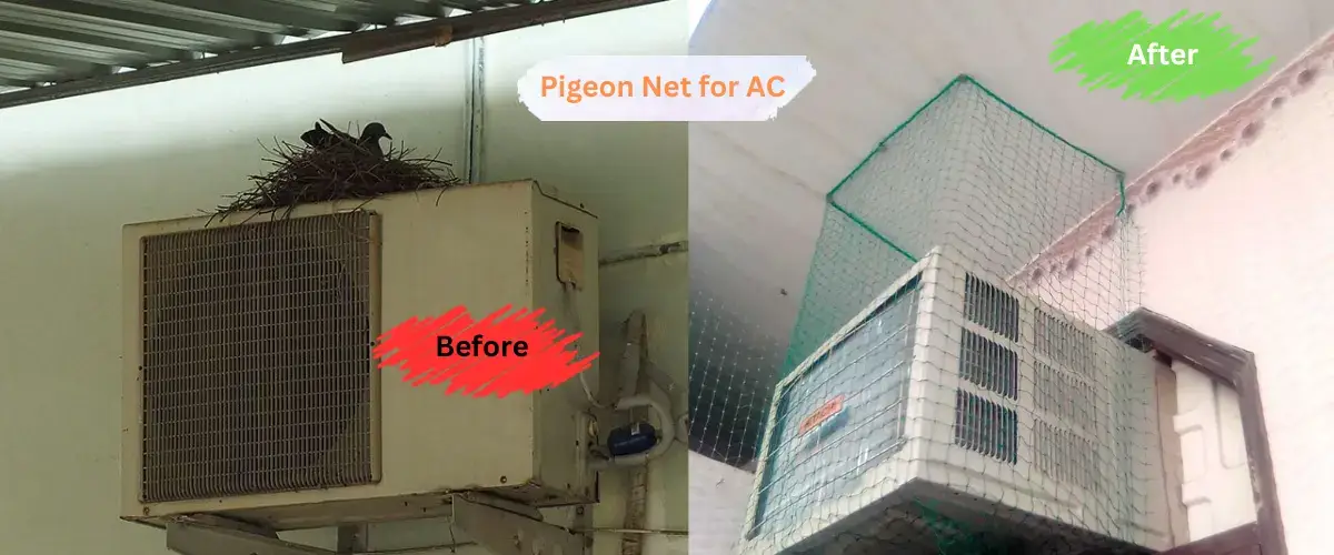 pigoen net for ac