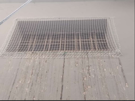 Pigeon Net Installation