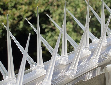 Pigeon Prevention Spikes