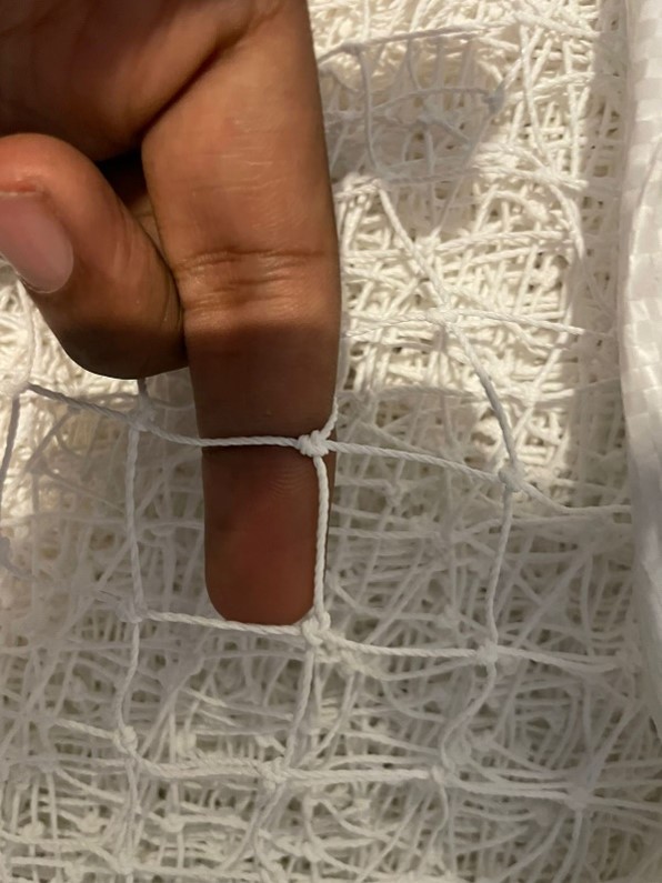 Pigeon Protection Nets