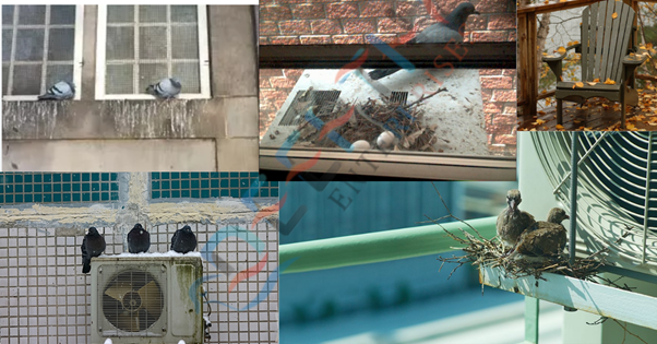 Problems in Balconies