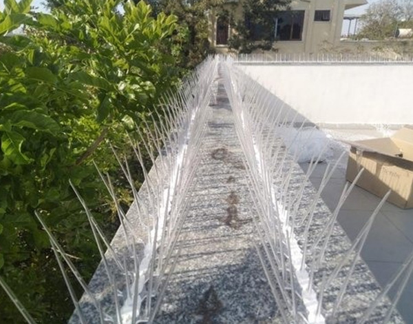 Bird Spikes Installation