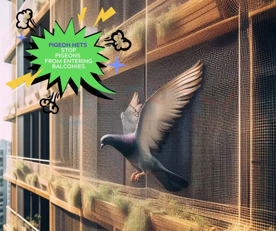 stop pigeons